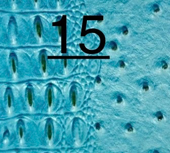 Exotic Leather Glove Clip (20+ Options)