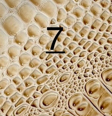 Exotic Leather Glove Clip (20+ Options)