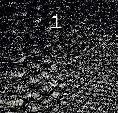 Leather Band For Hood Headgear